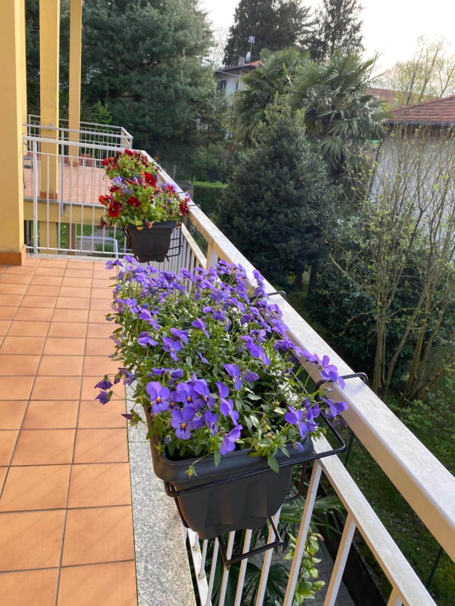 Appartamento Anna Lungo Fiume - Lago Maggiore Sesto Calende Exterior photo