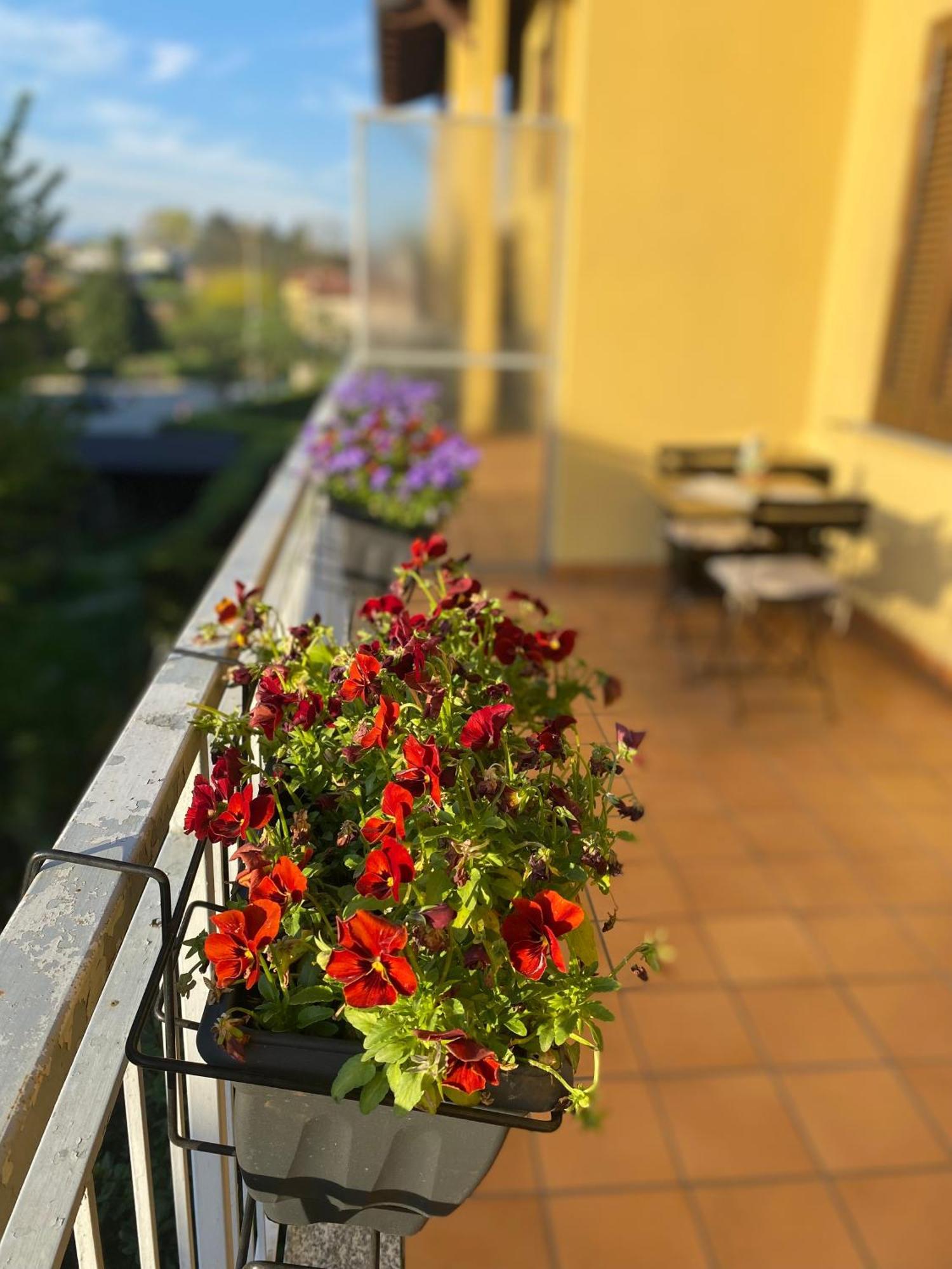 Appartamento Anna Lungo Fiume - Lago Maggiore Sesto Calende Exterior photo